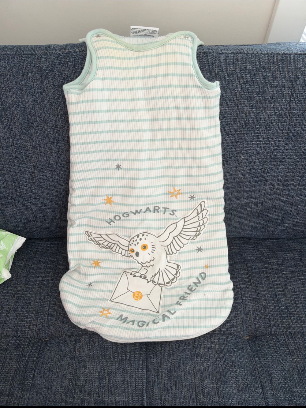 Hogwarts Magical Friend Baby Sleep Sack - Mint Stripe